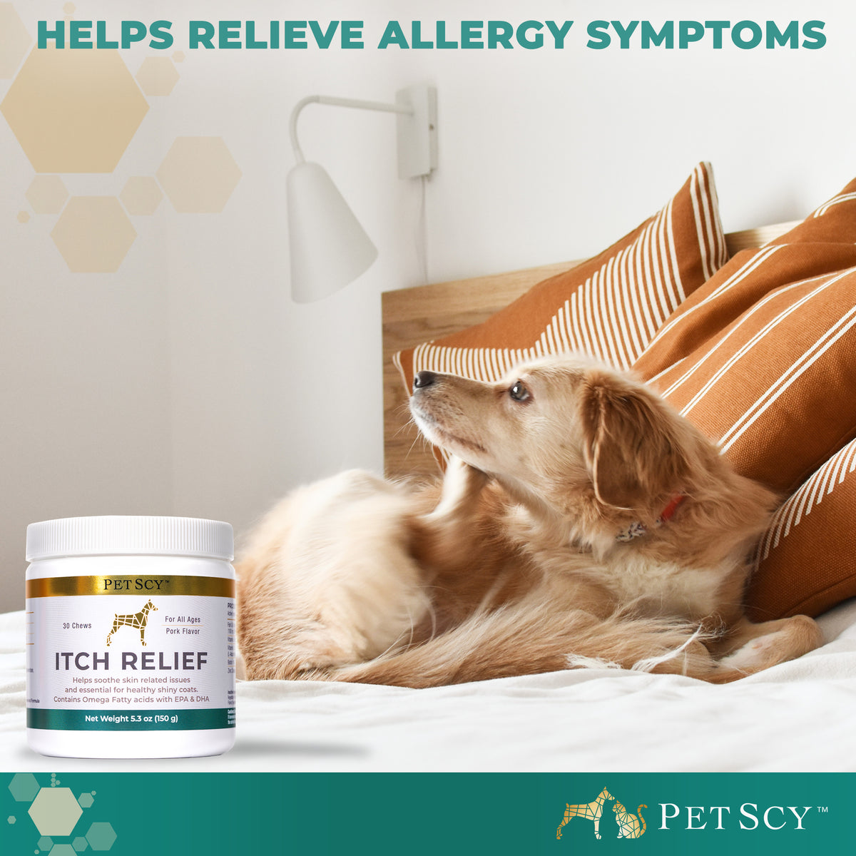 What is the best thing to give a dog that itches all the time? PetScy