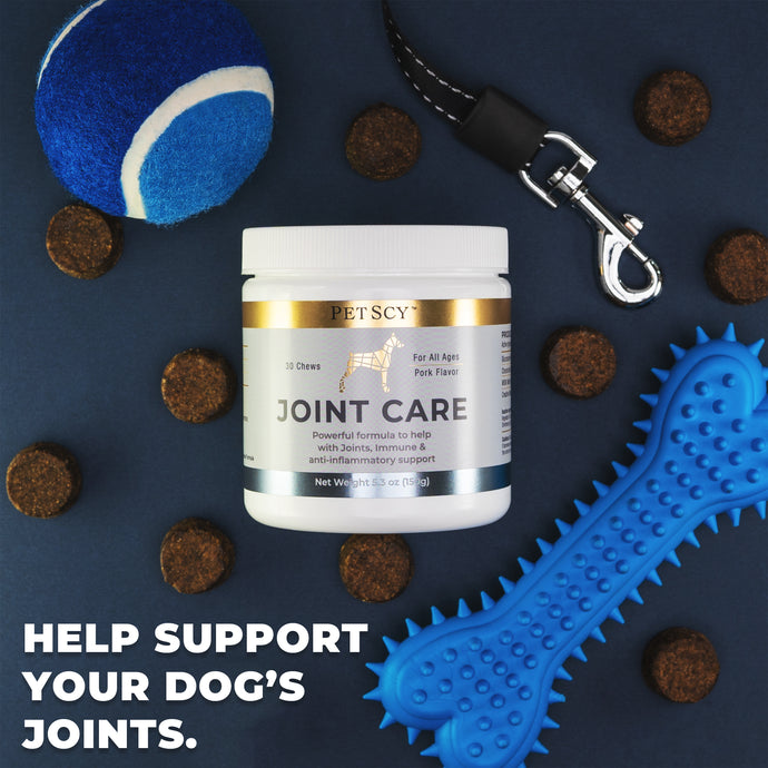 How long does it take for dog joint supplements to work?