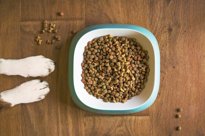 Selecting the right Dog Food