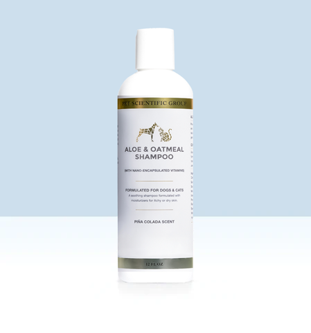 AloeShampoo-RechargeDiscount