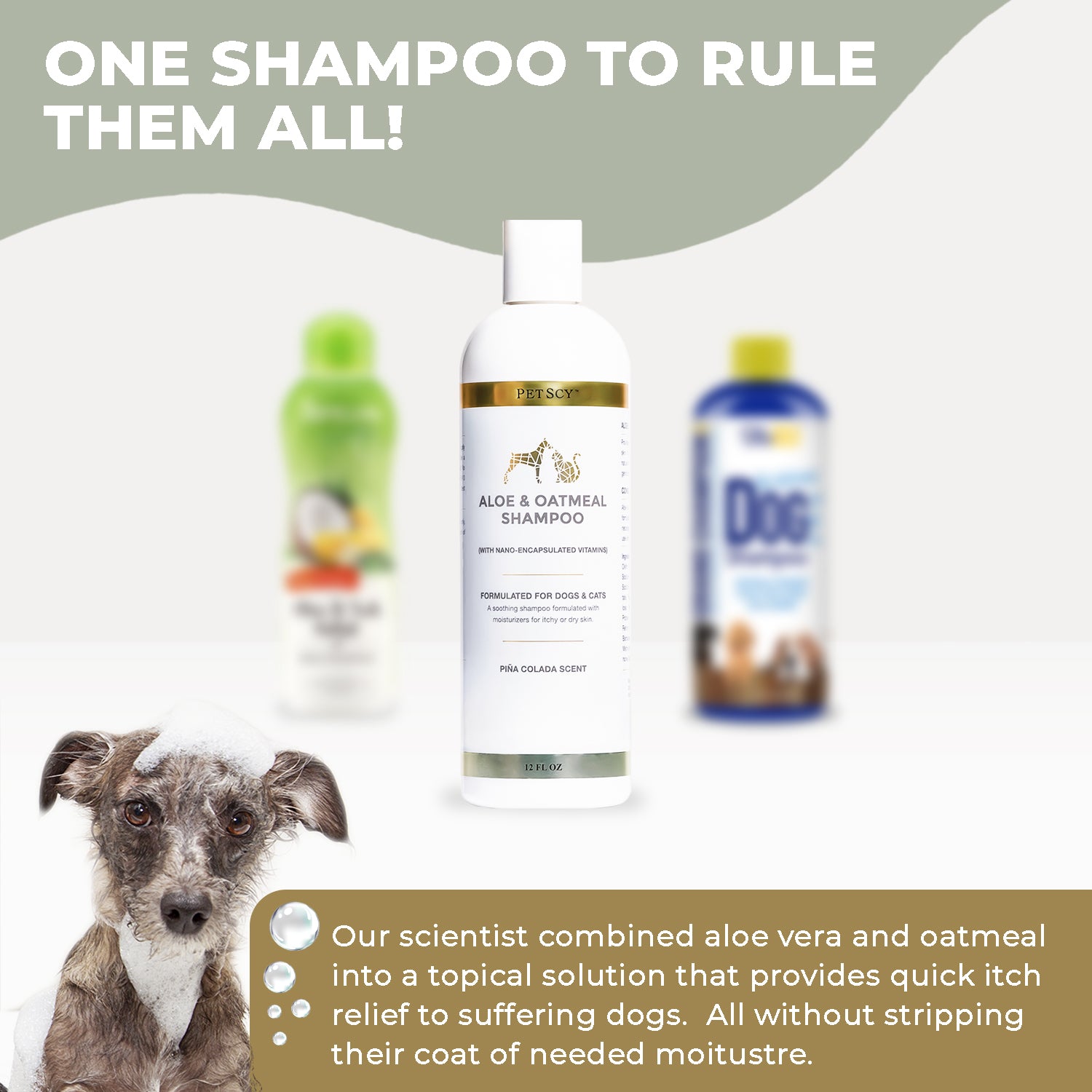 Stunning Flea Shampoo For Cats With Oatmeal And Aloe Vera image